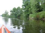Schwaanhavel p1010538