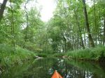 Schwaanhavel p1010612