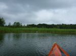 Schwaanhavel p1010655