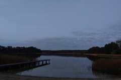 IMG20221013070431