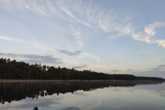 IMG20221013074318