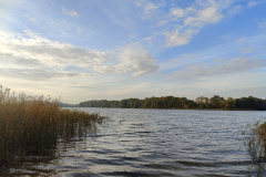 IMG20221013085343