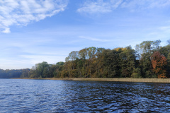 IMG20221013090805
