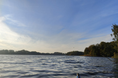 IMG20221013092354