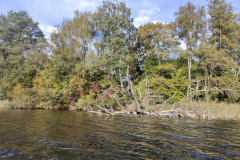 IMG20221013092644