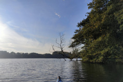 IMG20221013093059