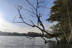 IMG20221013093224