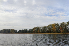 IMG20221013111134