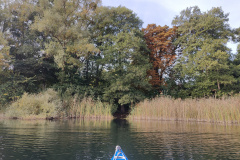 IMG20221013115152