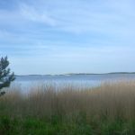 hro1.de-Schaabe-Breege-03