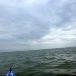 hro1.de-darsser-ort-045