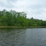 Alte-Fahrt-Mueritz-Paddeln-045