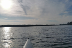 IMG-20210702-WA0002