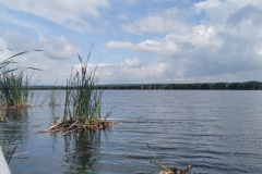 IMG-20210702-WA0009