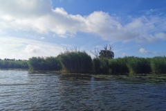 IMG_20210702_081131