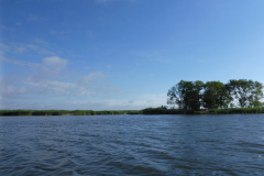 P1000505