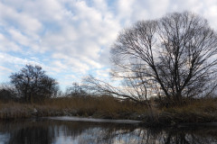 anpaddel-warnow-rostock-002