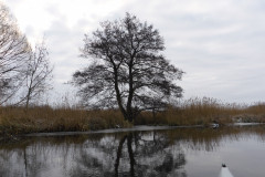 anpaddel-warnow-rostock-003