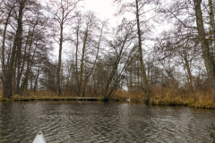 anpaddel-warnow-rostock-006