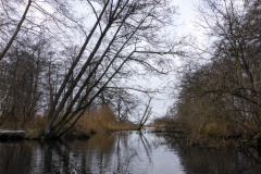 anpaddel-warnow-rostock-007