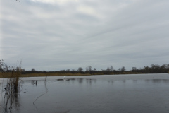 anpaddel-warnow-rostock-009