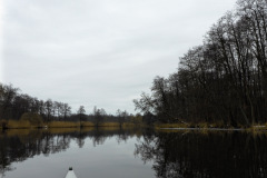 anpaddel-warnow-rostock-013