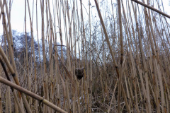 anpaddel-warnow-rostock-017