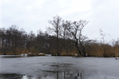 anpaddel-warnow-rostock-019