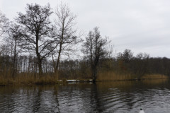 anpaddel-warnow-rostock-020