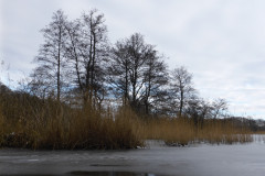 anpaddel-warnow-rostock-022