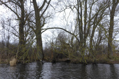anpaddel-warnow-rostock-023