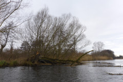 anpaddel-warnow-rostock-024