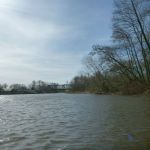 Anpaddeln-Warnowr-Rostock-2018-005