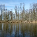 Anpaddeln-Warnowr-Rostock-2018-065