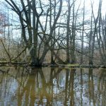 Anpaddeln-Warnowr-Rostock-2018-066