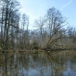 Anpaddeln-Warnowr-Rostock-2018-067