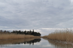 IMG-20220422-WA0002