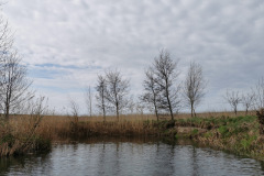 IMG-20220422-WA0005