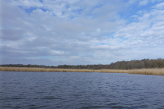 P1010031