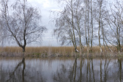 P1010043