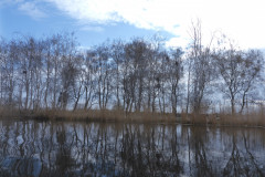 P1010049