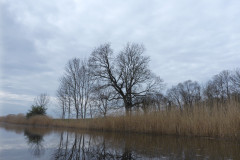 P1010051