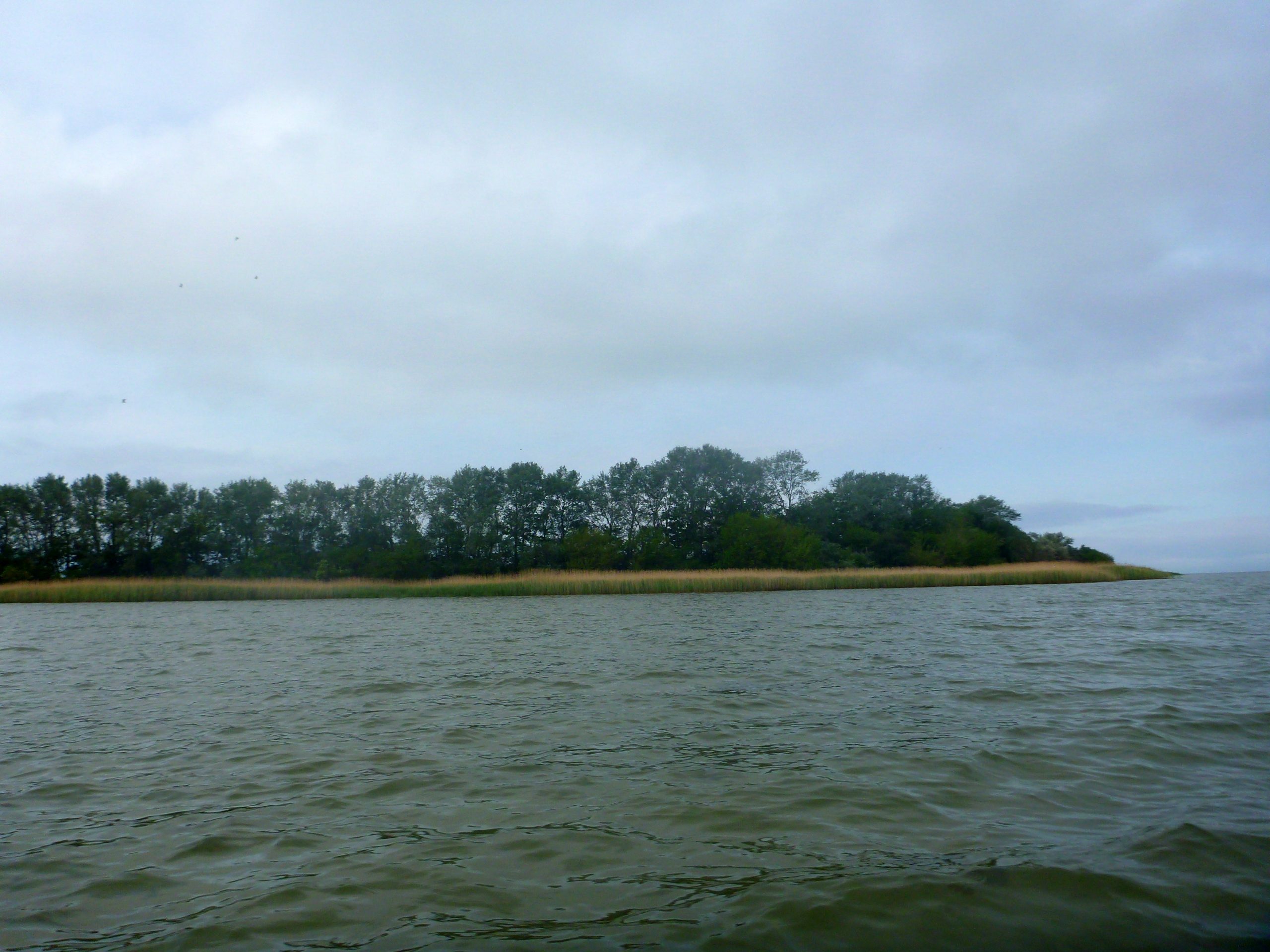 Insel-Kieler-Ort-007