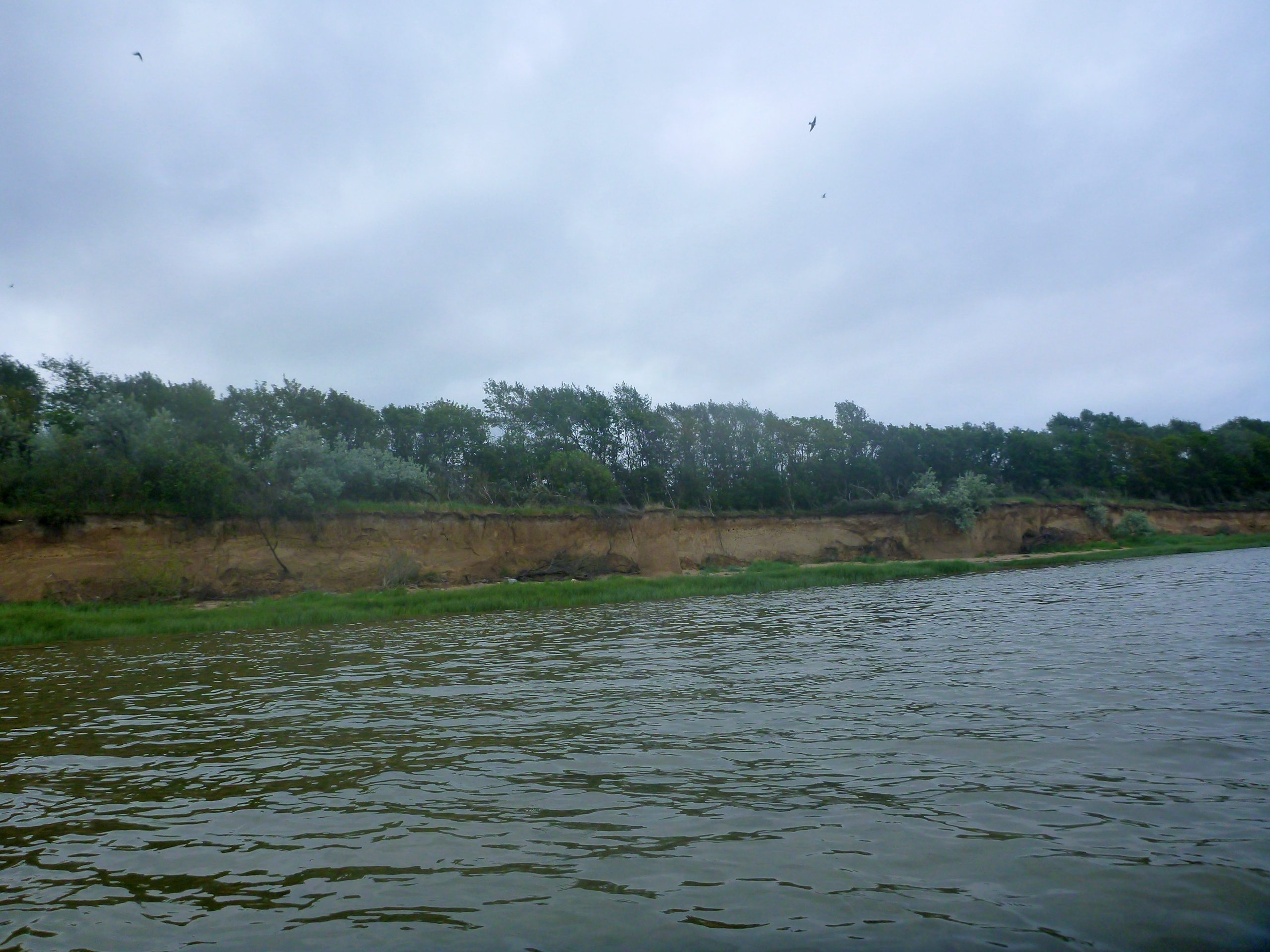 Insel-Kieler-Ort-020