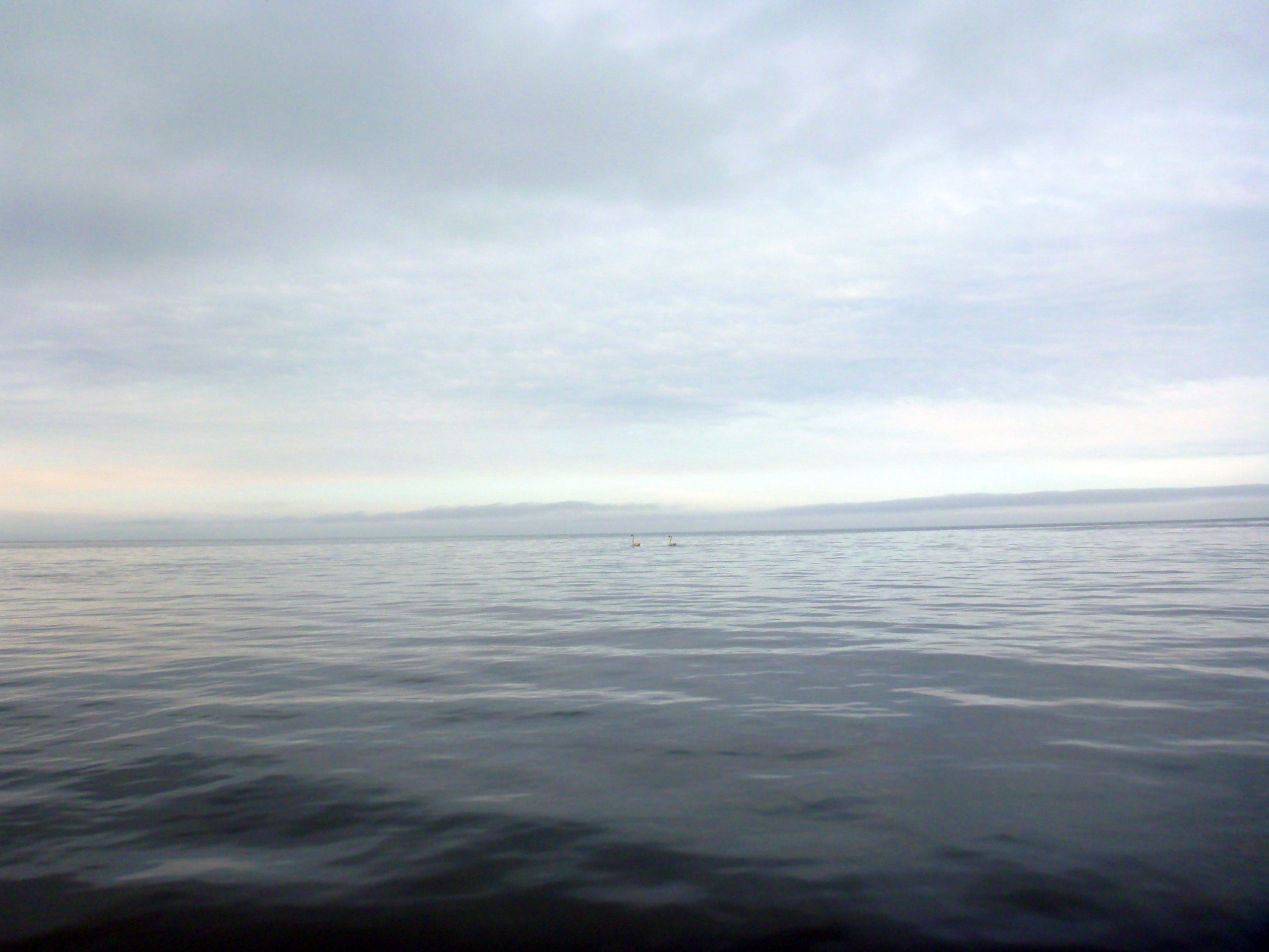 Insel-Kieler-Ort-030