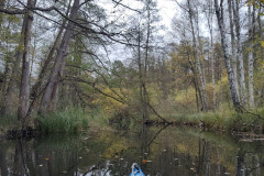 IMG-20221111-WA0001