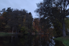 IMG20221111071650