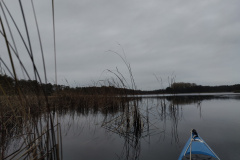 IMG20221111072145
