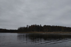 IMG20221111072436