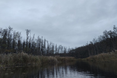 IMG20221111072748